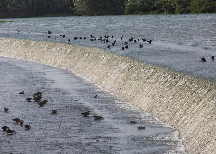 Cap Blanc Penthouse Cullera